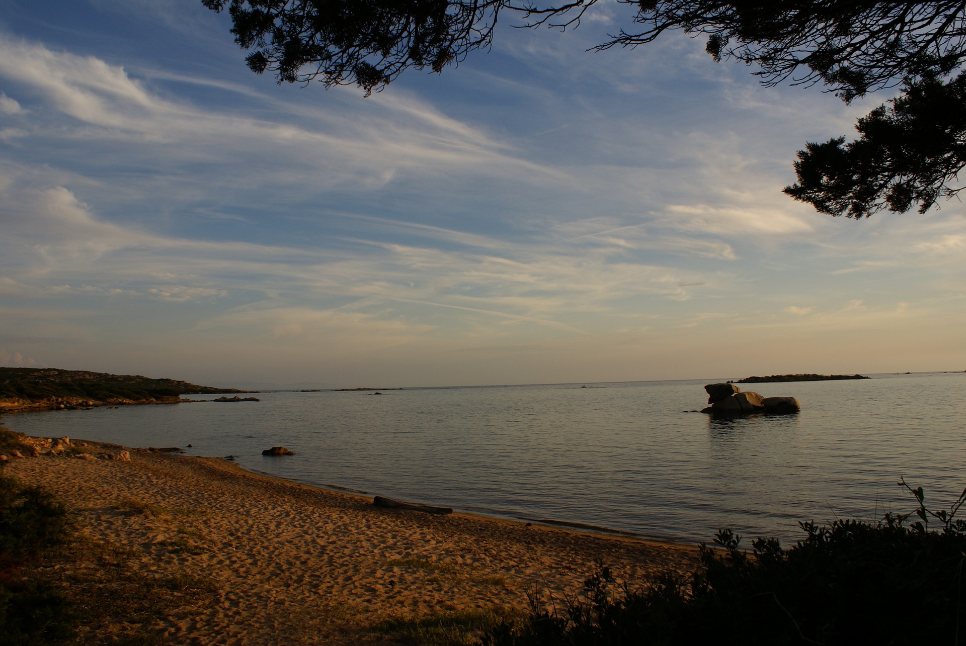 figari