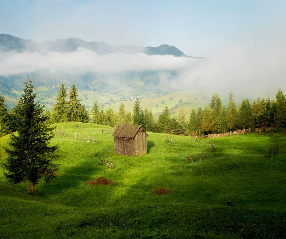 suceava