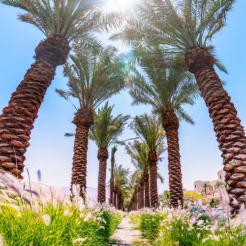 aqaba