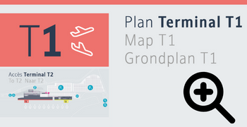 T1 plan