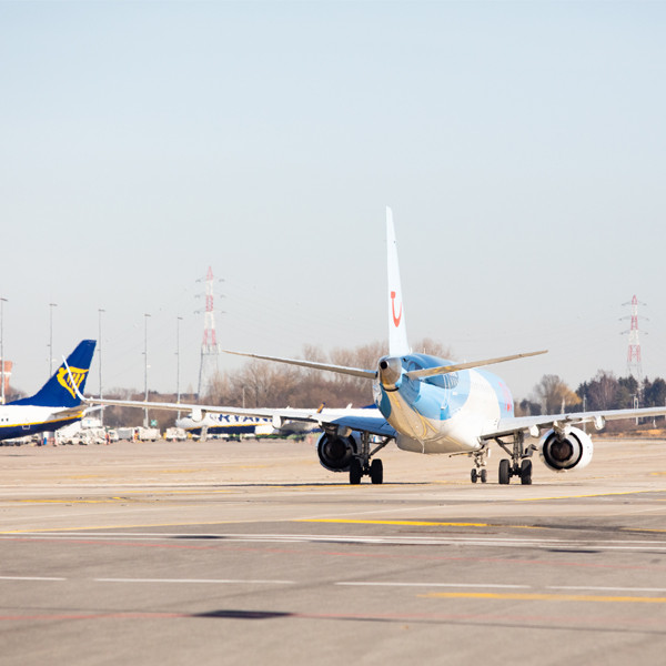 Image - CP Résultats 2019