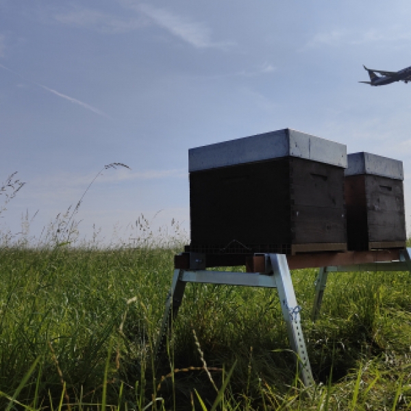 airport carbon accredidation brussels south charleroi airport